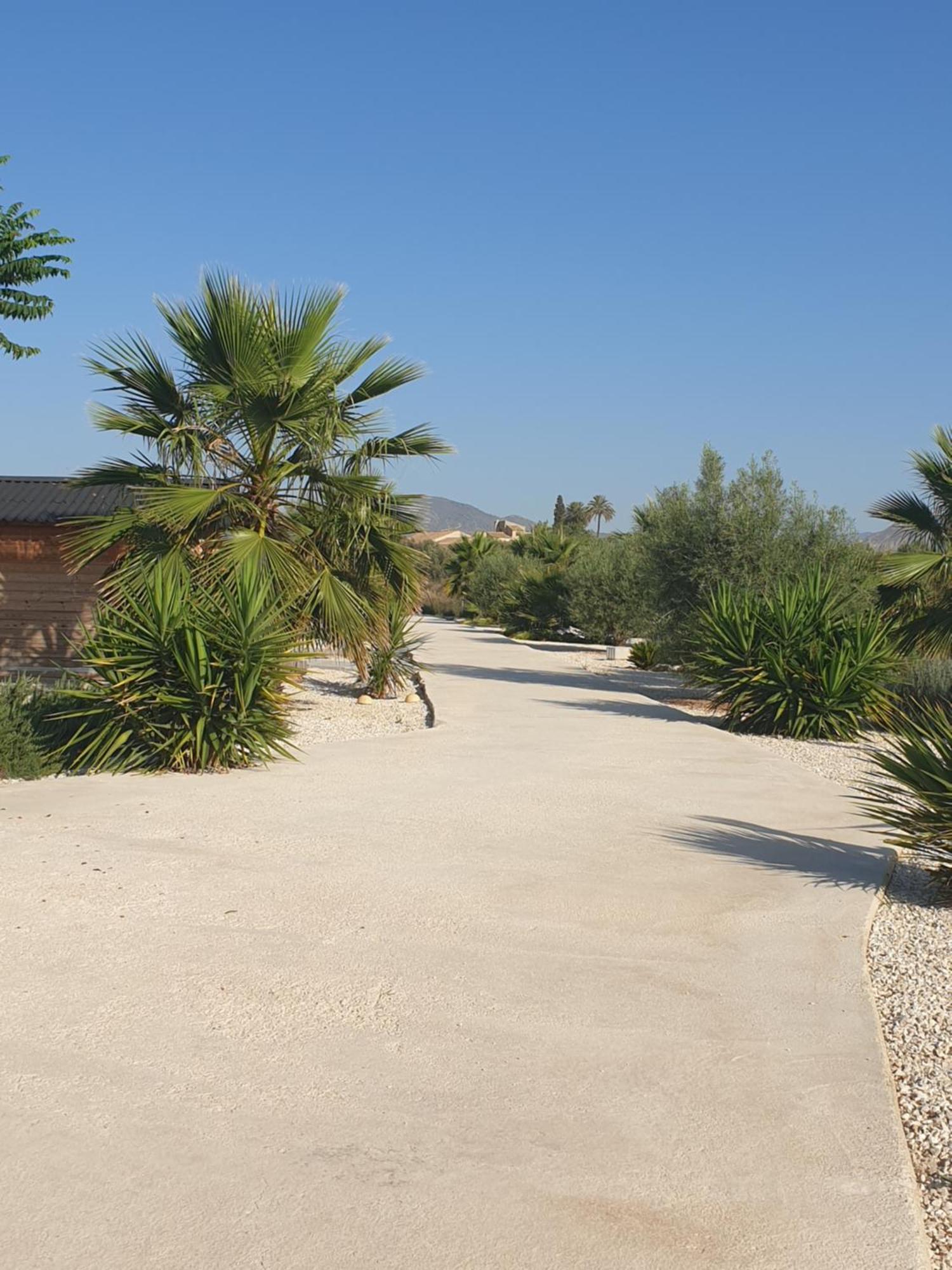 Casa De La Vida Liebetruth A Villa Aspe Exterior photo